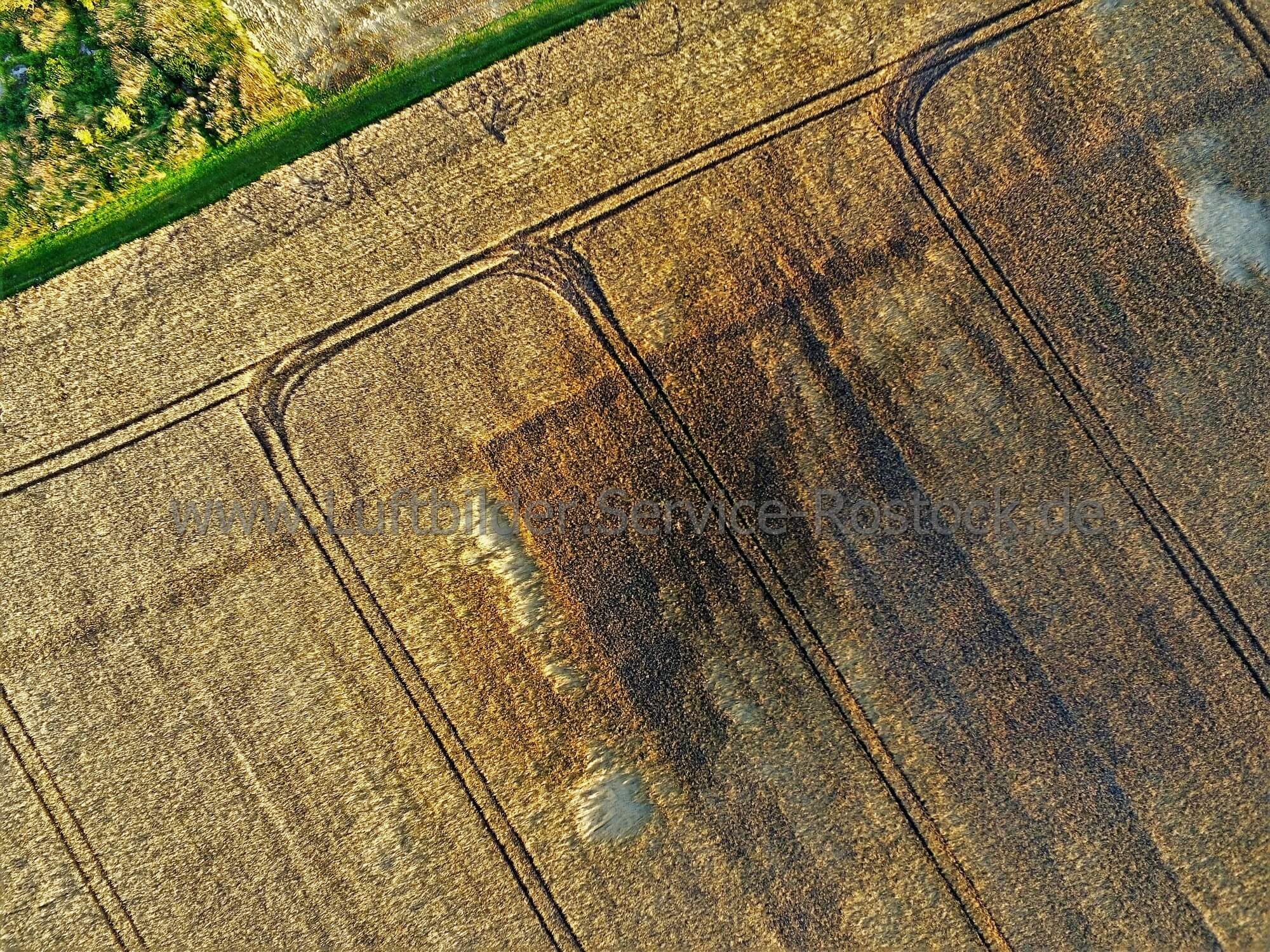 Feld-Schäden und Tier-Suche mit Drohne entdecken